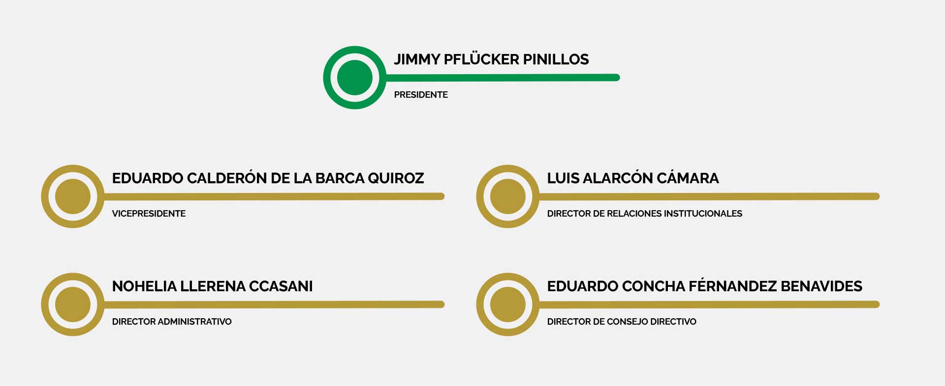 Consejo Directivo Conademi